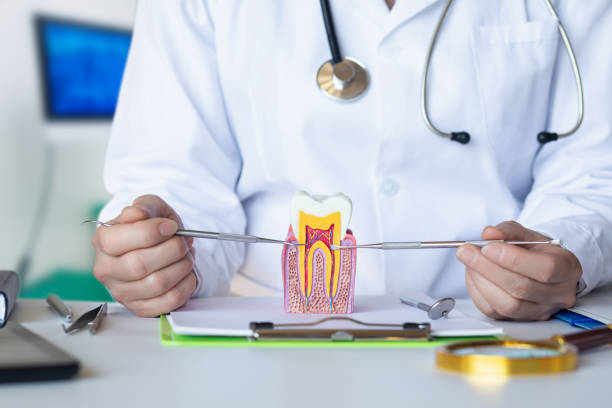 Best Chipped Tooth Repair Near Me  in Dallas, GA